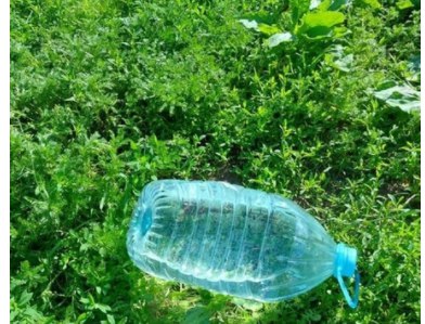 В Щукине поставили поилки для бездомных животных